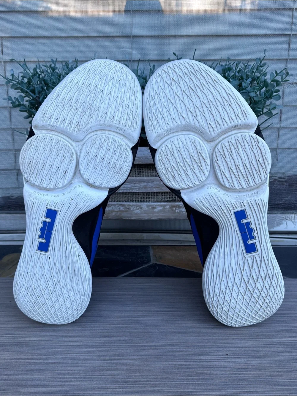 NIKE LeBron ‘Witness’ 4 Basketball Shoes